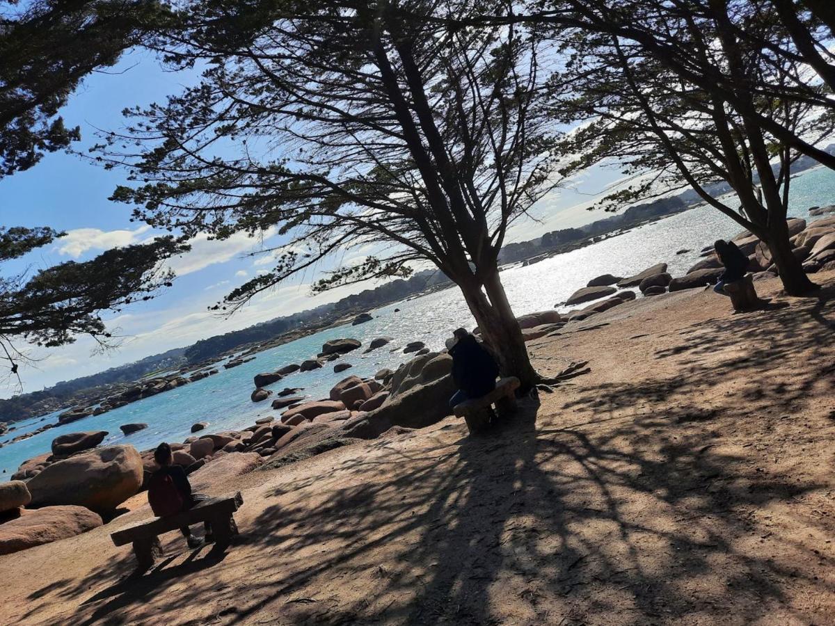 Vue 50m De La Plage, Wifi Gratuit